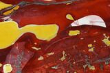 Polished Mookaite Jasper Slab - Australia #145282-1